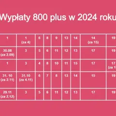 800 plus w czerwcu: Kiedy wypłata? Sprawdź daty i status wniosku