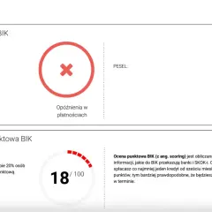 Raport BIK: wskaźnik opóźnień w płatnościach (czerwony krzyżyk) i niska ocena punktowa (18/100).