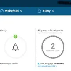 Jak sprawdzić czy jestem w BIK za darmo i uniknąć nieprzyjemności