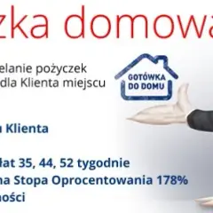 Bocian Pożyczki: Jak dobrać kolejną pożyczkę? Warunki i porady