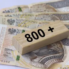800 plus: Jak złożyć wniosek i kiedy otrzymasz pieniądze?
