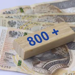 800 plus dla seniora: Czy to pewne? Status i szanse petycji