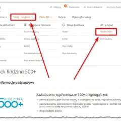 ZUS 800 plus: Jak złożyć wniosek online i uniknąć błędów?