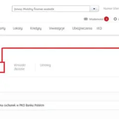 Jak złożyć wniosek o becikowe przez internet bez zbędnych problemów