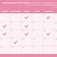 Od kiedy 800 plus? Data, wnioski i wypłaty ZUS.