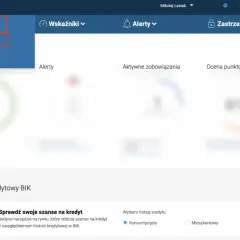 Menu "Raporty" z rozwiniętą opcją "Raport BIK".