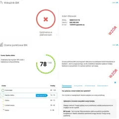 BIK za darmo? Tak! Jak pobrać kopię danych i co zawiera?