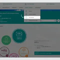 800 plus: Jak złożyć wniosek online? Przewodnik krok po kroku