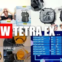 Tetra EX 800 Plus: Czy przecieka? Recenzja i porównanie
