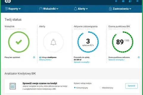 Czy bocian sprawdza BIK? Jak Twoja historia kredytowa wpływa na pożyczkę