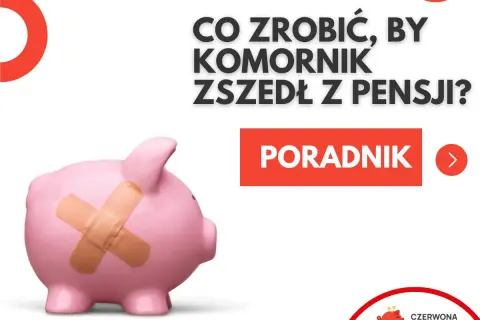 Różowa świnka-skarbonka z plastrem na boku. Tekst: "Co zrobić, by komornik zszedł z pensji?". Poradnik.