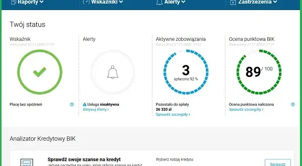 Czy bocian sprawdza BIK? Jak Twoja historia kredytowa wpływa na pożyczkę