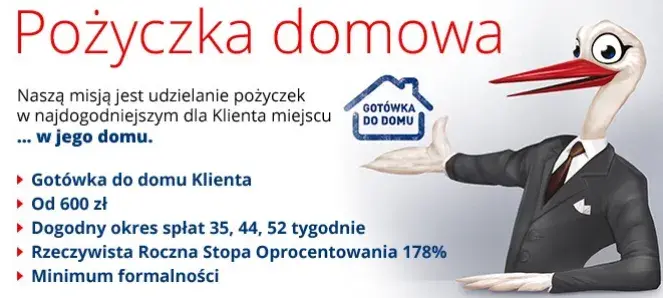 Bocian Pożyczki: Jak dobrać kolejną pożyczkę? Warunki i porady