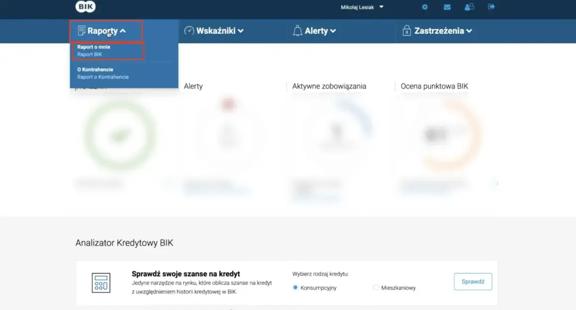 Menu "Raporty" z rozwiniętą opcją "Raport BIK".