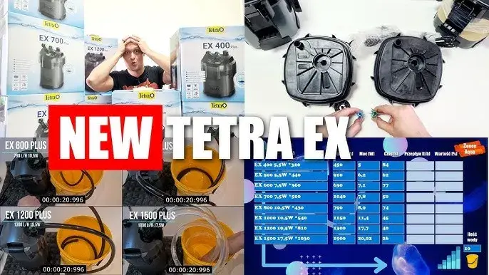 Tetra EX 800 Plus: Czy przecieka? Recenzja i porównanie