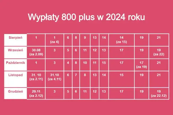 800 plus w czerwcu: Kiedy wypłata? Sprawdź daty i status wniosku