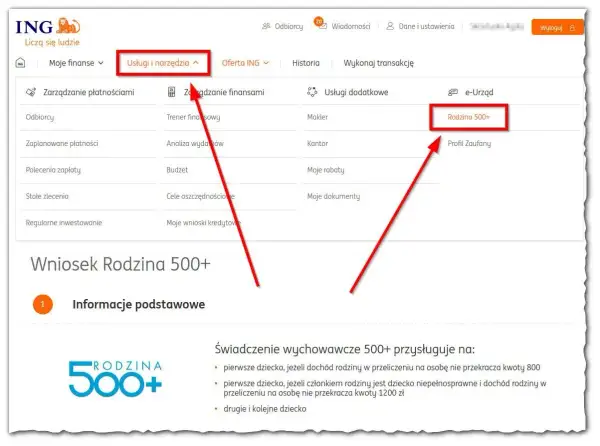 ZUS 800 plus: Jak złożyć wniosek online i uniknąć błędów?