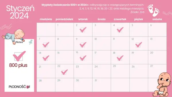 Od kiedy 800 plus? Data, wnioski i wypłaty ZUS.