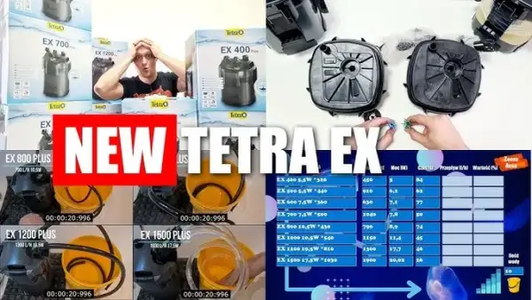 Tetra EX 800 Plus: Czy przecieka? Recenzja i porównanie