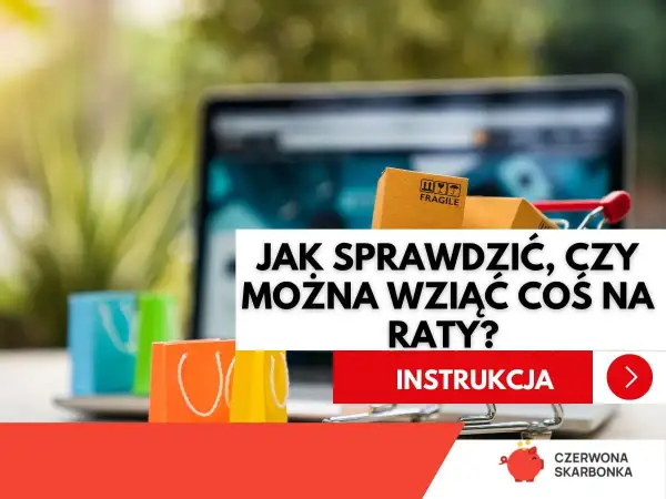 Zakupy na raty dla zadłużonych? Sprawdź, czy to możliwe. Laptop, zakupy i instrukcja.